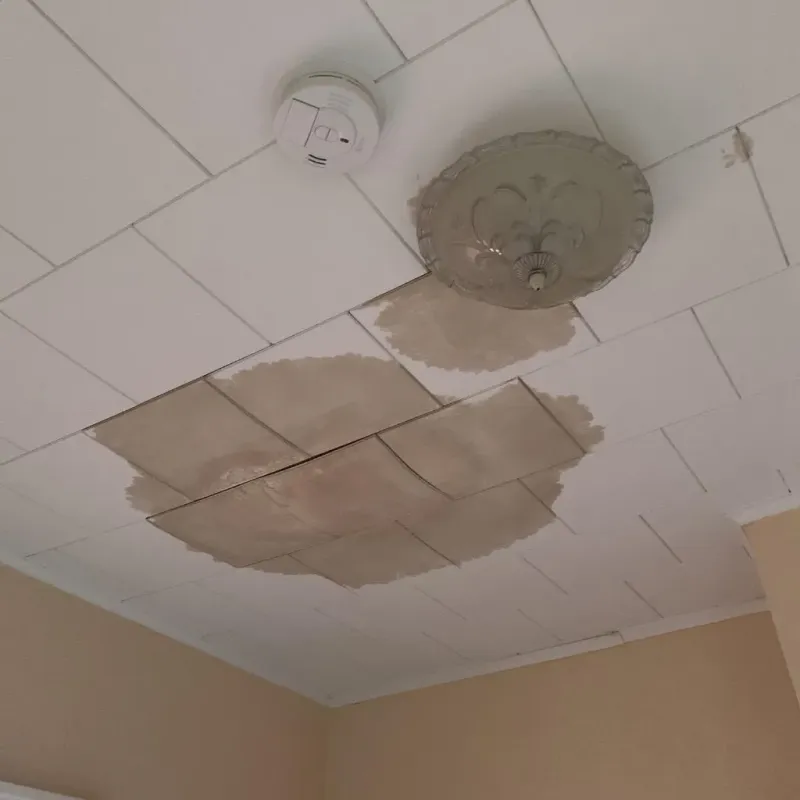 Ceiling Water Damage Repair in Archie, MO